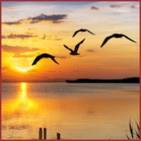 Abend-am-Schweriner-See Abend-am-Schweriner-See